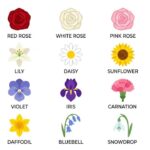 25+ Flower Symbols and Their Meanings Explained